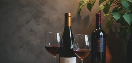 Tudo o Que Você Precisa Saber Sobre Vinhos Concha y Toro