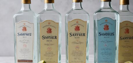 Top 10 Marcas De Gin Mais Vendidas Em 2023: Descubra As Melhores Opções