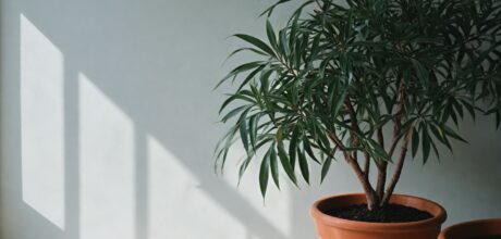 Como Avaliar o Retorno sobre Investimento em Marketing Digital de Forma Efetiva